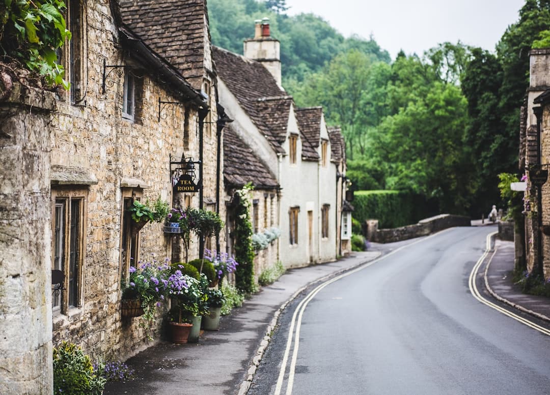 Local businesses in Farnham, Surrey